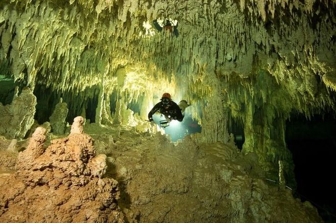 メキシコで地球最大規模の水中洞窟を確認
