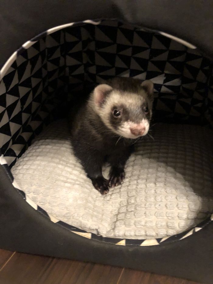 （写真提供：ミキさん）