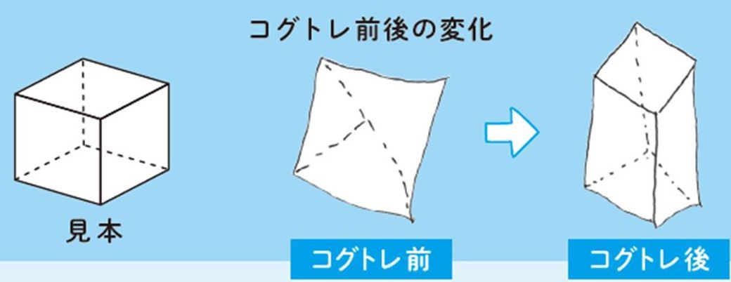 少年院で働く児童精神科医がパズルを作った訳 子育て 東洋経済オンライン 社会をよくする経済ニュース