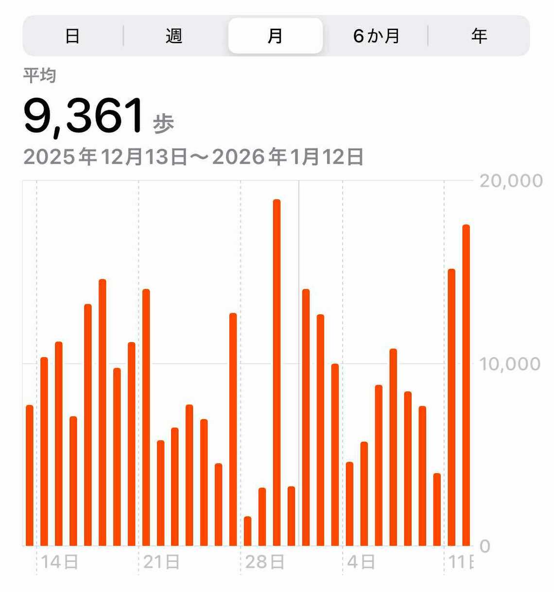 仕事の繁忙期で時間的余裕がない年末年始も、なんとか9000歩を超えている（写真：筆者提供）