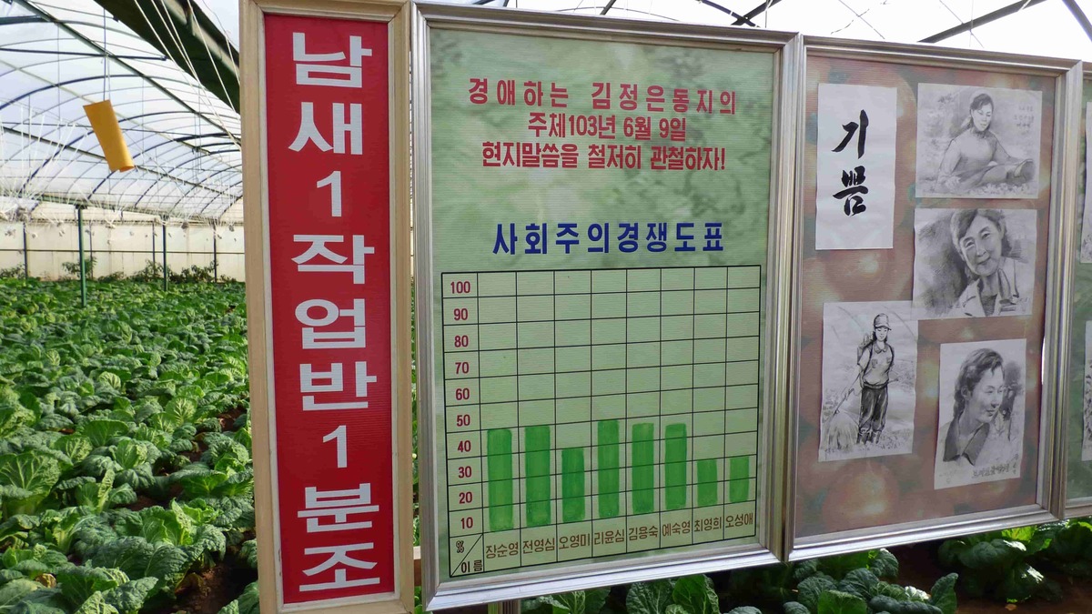 ｢餓死者が発生｣するほど北朝鮮経済はひどいのか 中朝国境｢餓死者なんて聞いたことがない｣ | 韓国･北朝鮮 | 東洋経済オンライン