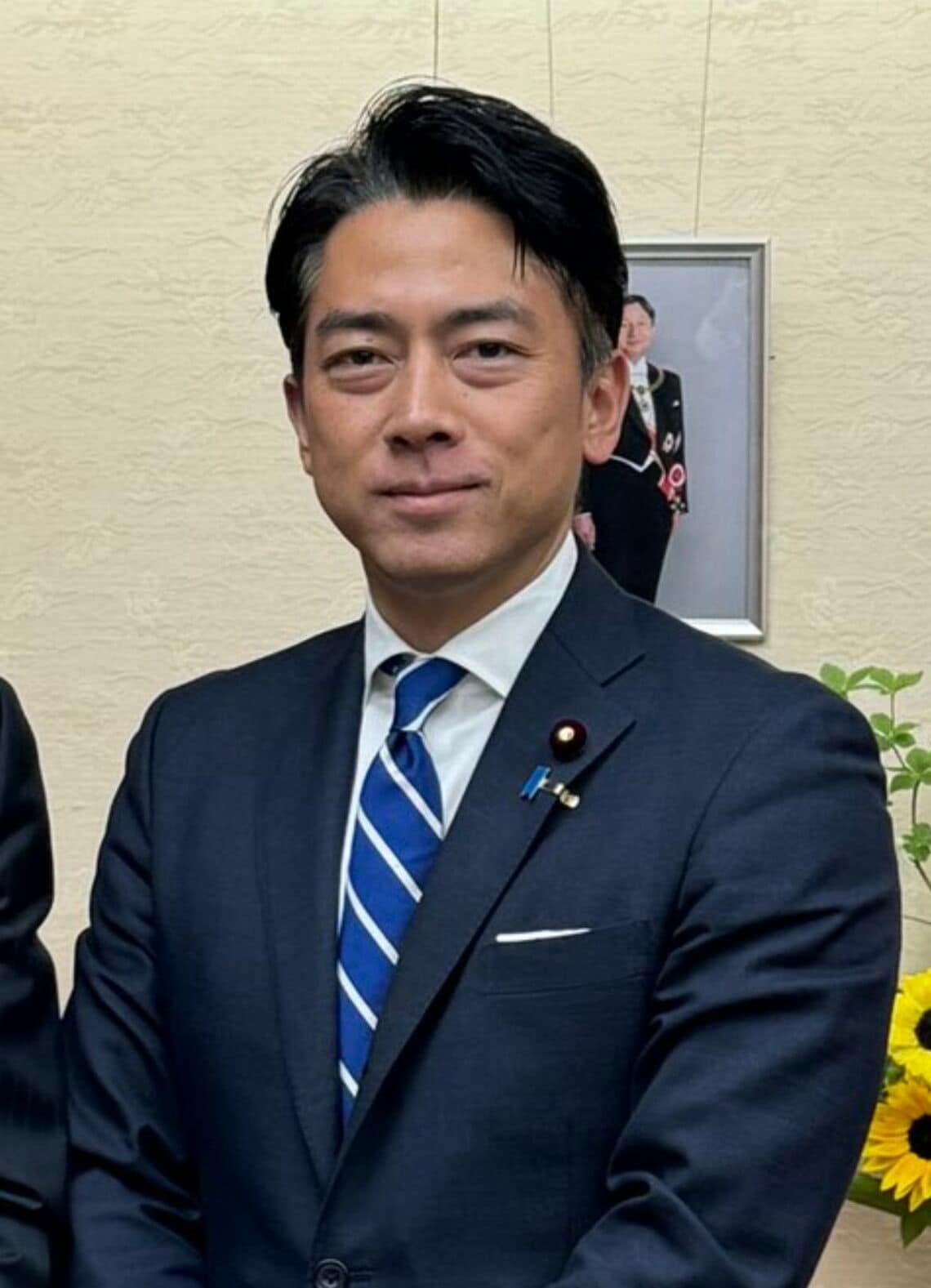 小泉 進次郎 髪型