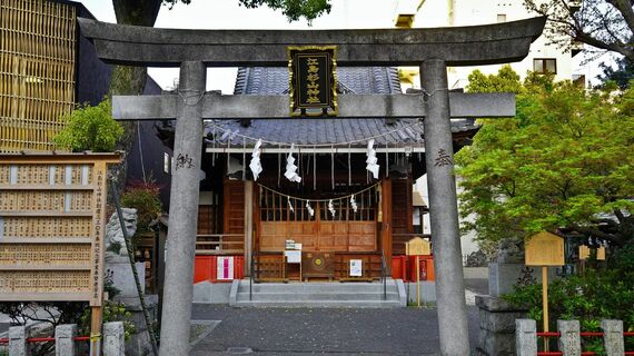 大河ドラマ べらぼう 鳥山検校 杉山検校