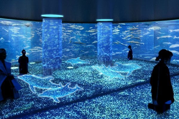 水族館は映像技術を生かし、幻想的な演出をする