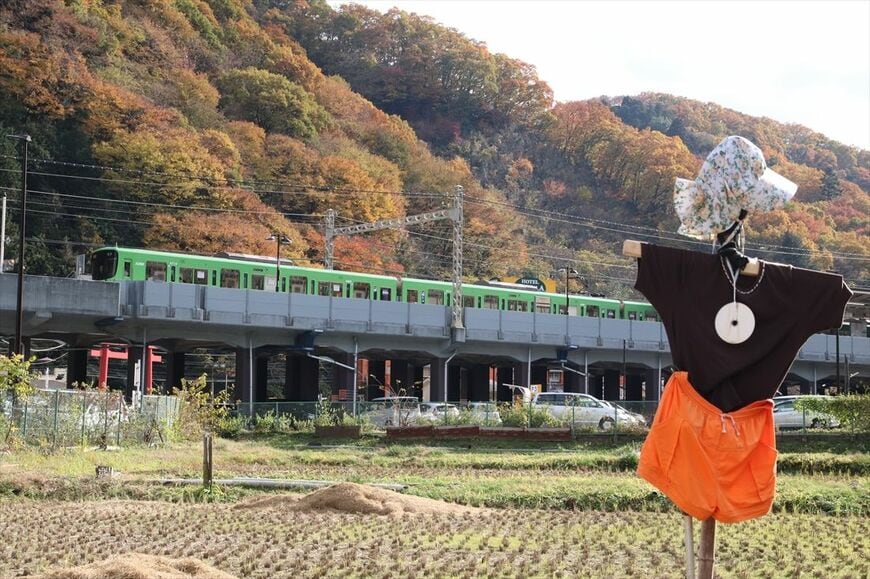 高尾山口駅付近には水田もある（撮影：南正時）