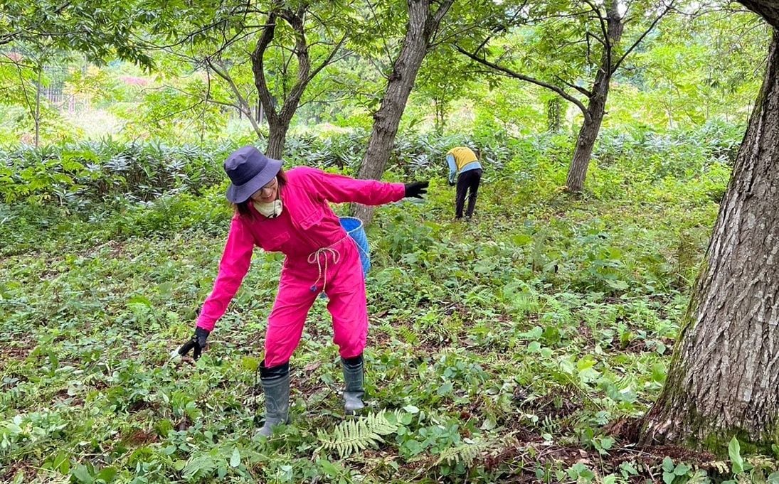 山形県西川町で作業する日﨑総子氏（写真：おてつたび）