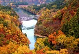 第一只見川橋梁の紅葉（撮影：南正時）