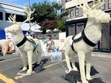 トナカイのオブジェ