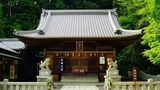 松平東照宮（写真： 200ok / PIXTA）