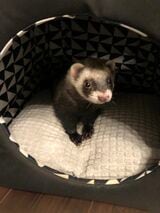 （写真提供：ミキさん）