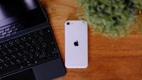 マスクで使える新iPhone SEが絶対売れるワケ 小学生の｢初めてのスマホ｣としてもお勧めだ