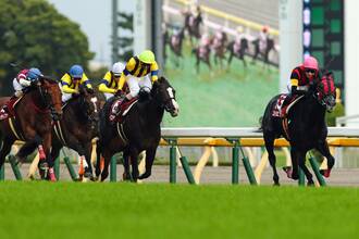 ディープインパクトは今も競馬界を席巻中！