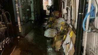 ｢今や子猫サイズ｣新宿"大量ネズミ"の恐怖な現実