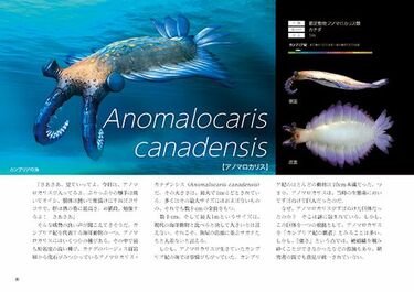 意外と知らない｢古生物｣の本当のサイズ感 なんとなく｢大きい｣イメージ