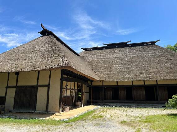 弥十郎どん