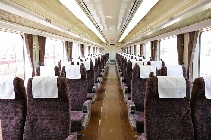 落ち着いた雰囲気の車内