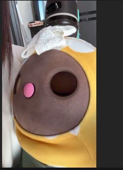 睡眠中のあんこちゃん