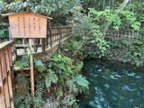 八重垣神社