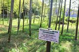（写真上）原形が保全された見沼代用水のそばで説明に力が入る北原さん（写真下）トラスト保全第1号地の斜面林（撮影：河野博子）