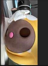 睡眠中のあんこちゃん