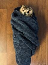 （写真提供：ゲンさん）