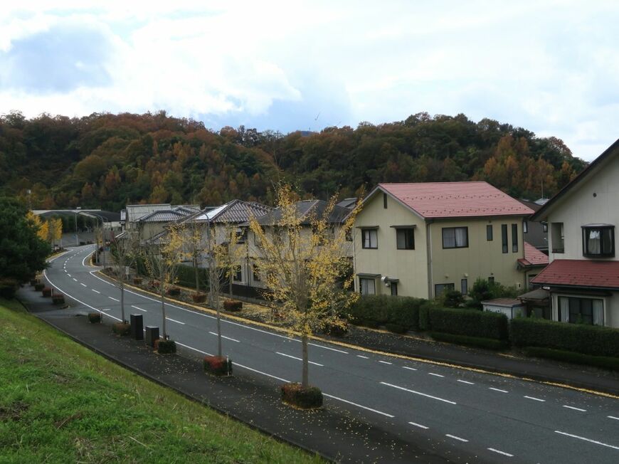 鳥取新都市