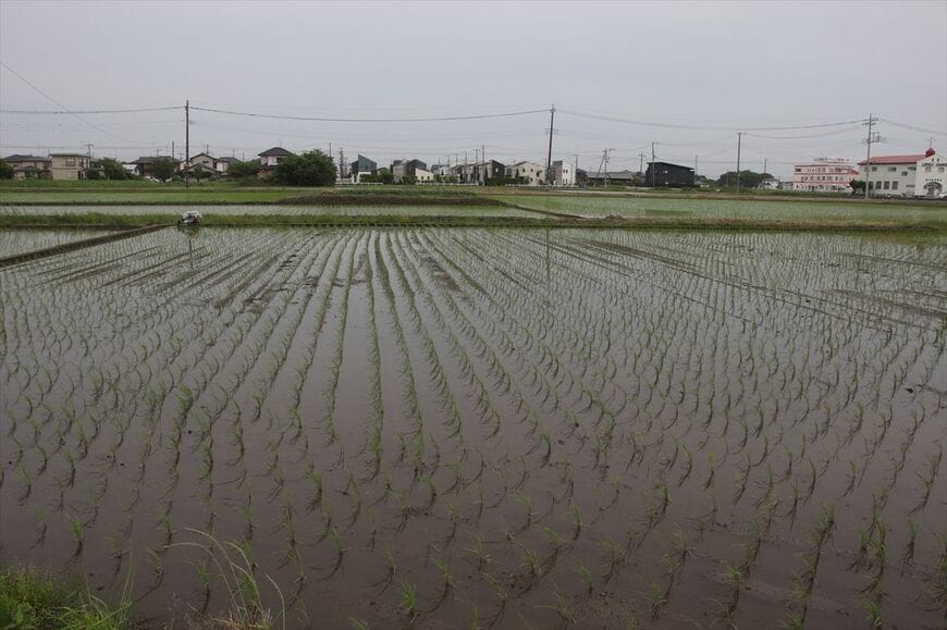 藤代駅周辺は住宅地と田園地帯が混在していてのどかな景色。取手駅に比べて列車が少ないせいか？（筆者撮影）