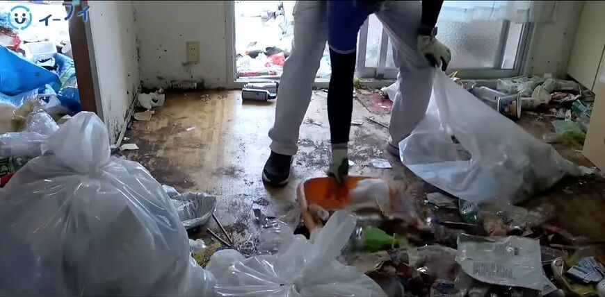 ゴミ屋敷