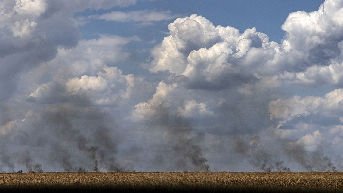 戦場になったウクライナの穀倉地帯