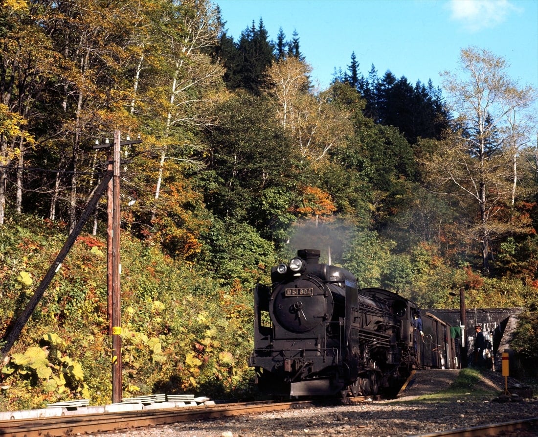 石北本線の常紋トンネルを抜けて顔を出したD51（撮影：南正時）