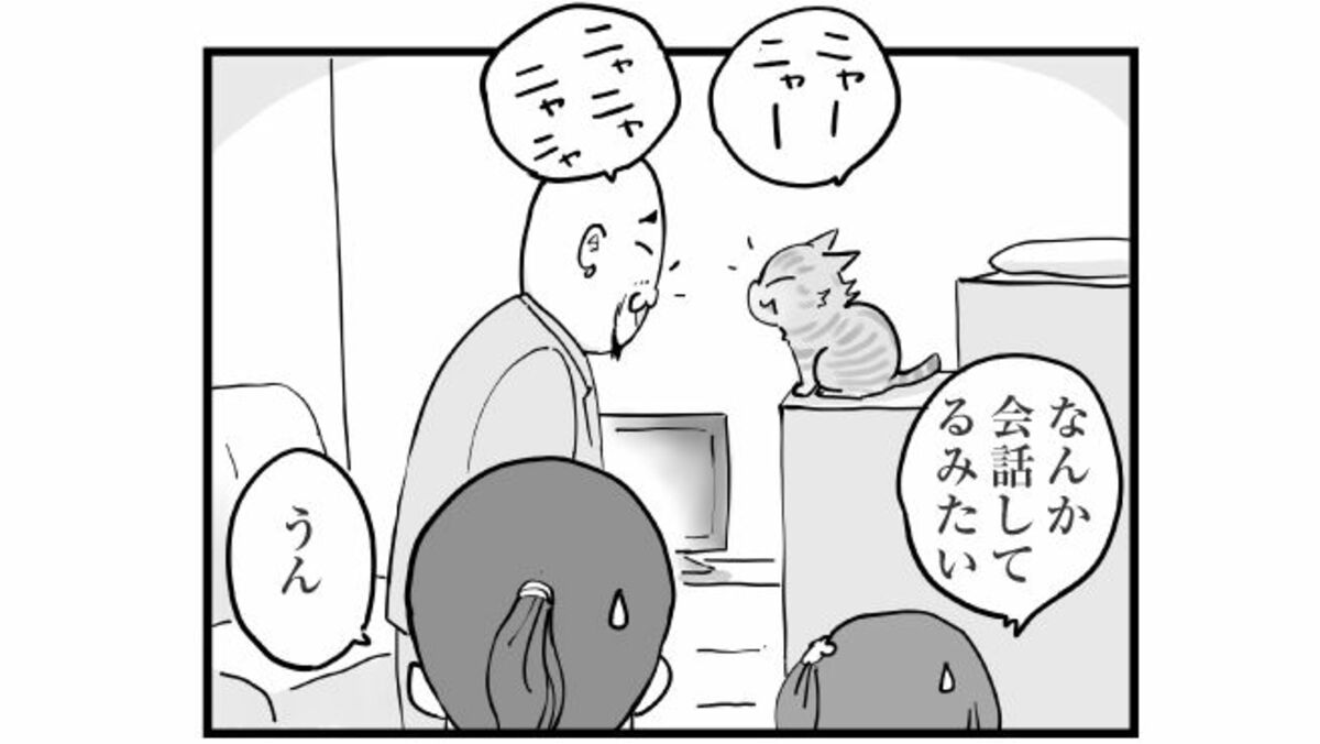 ｢猫と会話できる｣と豪語する男が起こした珍事件 | ひろみ猫シッターサービス | 東洋経済オンライン