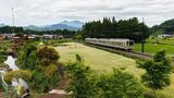 ソバの花が咲き乱れる倉ヶ崎SL花畑は東武鬼怒川線の線路のすぐ脇にある=6月中旬（撮影：鼠入昌史）