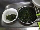 わかめ仕事（写真：中山さん提供）
