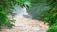 豪雨から身を守るには｢雨水の行方｣を知るべきだ 降った雨はどのようにして川の水になるのか