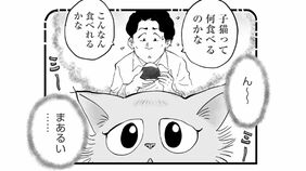 タワマン住民に子猫のお世話を頼まれたシッターが｢お断り｣した深い理由　漫画『ひろみ猫シッターサービス』（第12話）