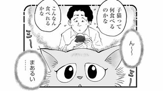 『ひろみ猫シッターサービス』