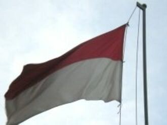 インドネシア新規制で資源調達に新たな試練