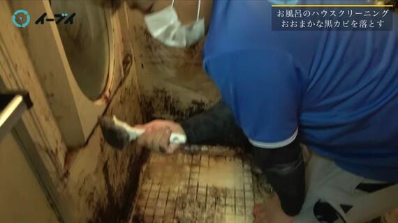 ゴミ屋敷