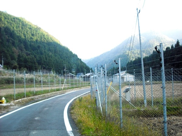 田舎暮らしを夢見る人が知らない獣害のヤバさ リーダーシップ 教養 資格 スキル 東洋経済オンライン 経済ニュースの新基準