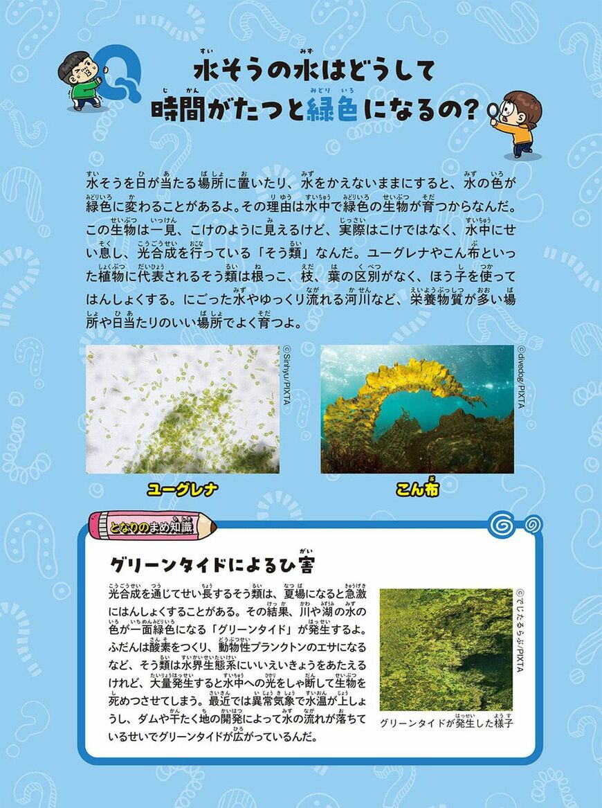 ⓒ HeunHanCompany, Mirae N, 東洋経済新報社