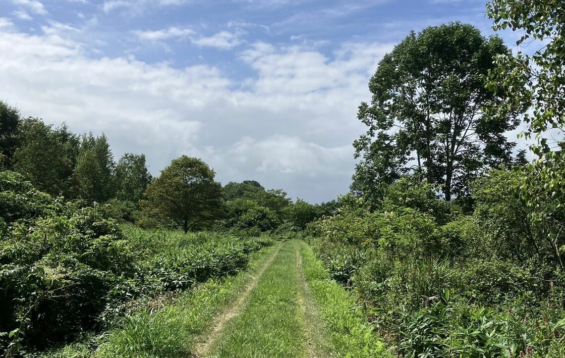 北海道旅行では“自然療法”に徹した（筆者撮影）