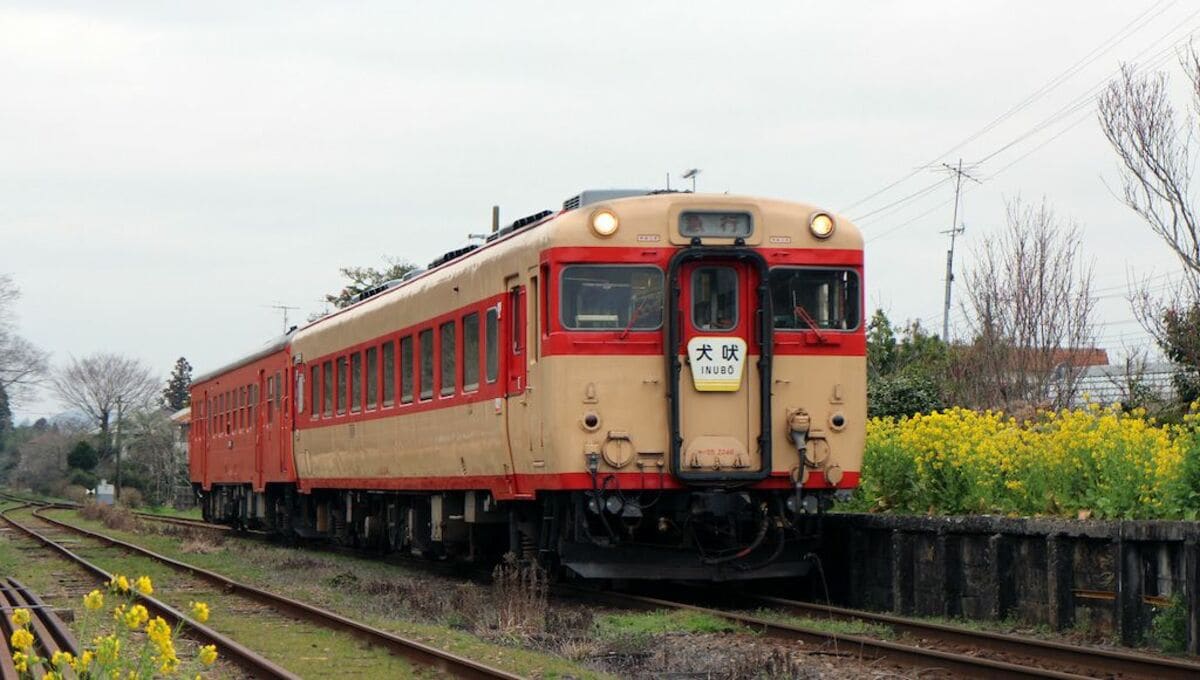 最後の国鉄急行形気動車｢キハ28｣引退までの軌跡 登場から約60年､いすみ 