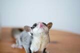 （写真：ひろさん提供）