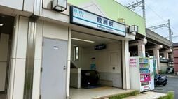 ｢江戸の将軍に鮮魚を納める猟師町｣→｢運転免許試験場の街｣…多くの都民が｢行ったことはあるが知らない｣"謎の街"の実態