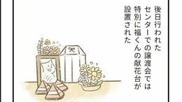 飼い主に捨てられた老犬がセンターで迎えた最期