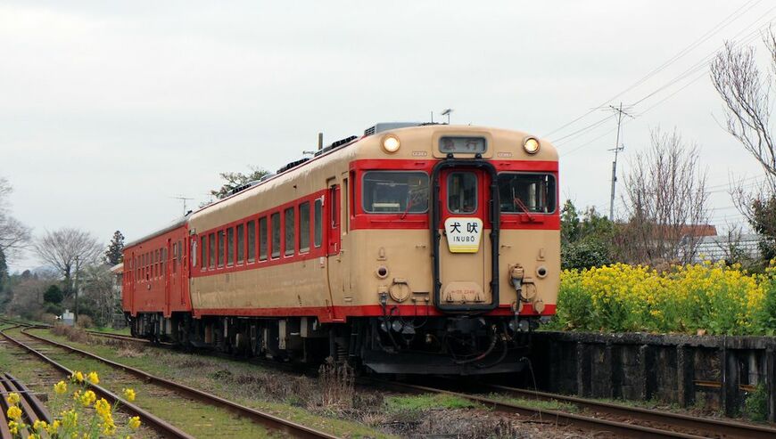 11月27日に定期運行を終えるいすみ鉄道のキハ28（写真：くまてつ/PIXTA）