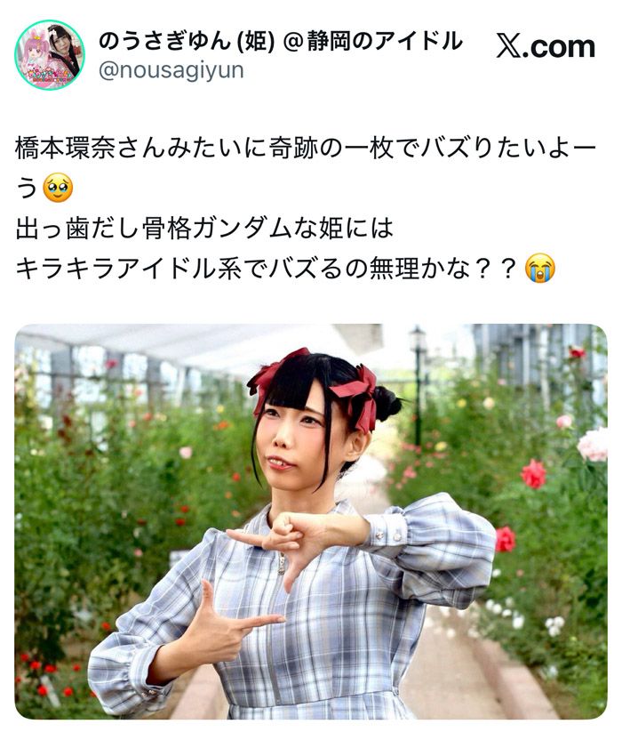 （画像：のうさぎゆん公式Xより）