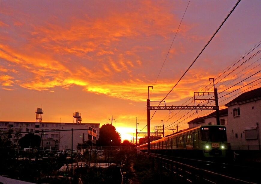 日の出の頃、百草園―高幡不動間を行く8000系（撮影：南正時）