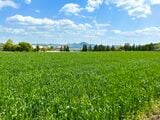 西播磨では小麦栽培も盛んで、4月は青々とした小麦畑が広がっている（筆者撮影）