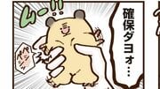 飼い主大嫌い系ハムスター とんとんの本音